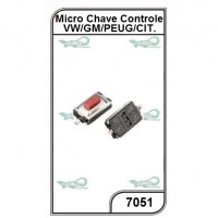 Micro Chave para Controles VW, GM, Peugeot e Citroen 10un. - 7051